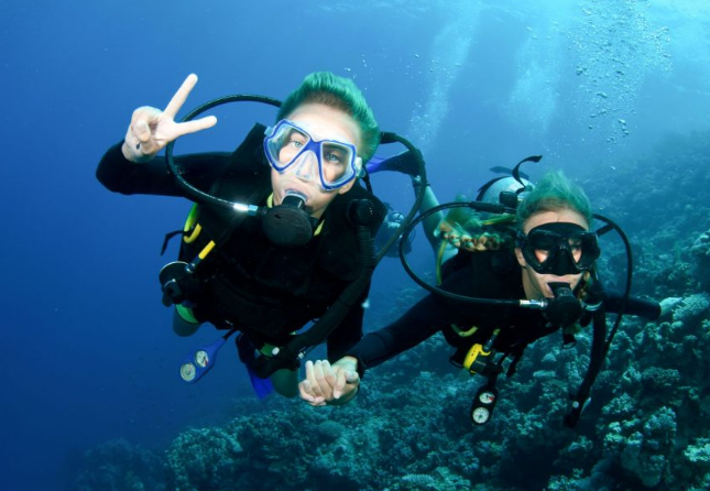 Diving and Snorkeling Boat trip - egytipstravel.com