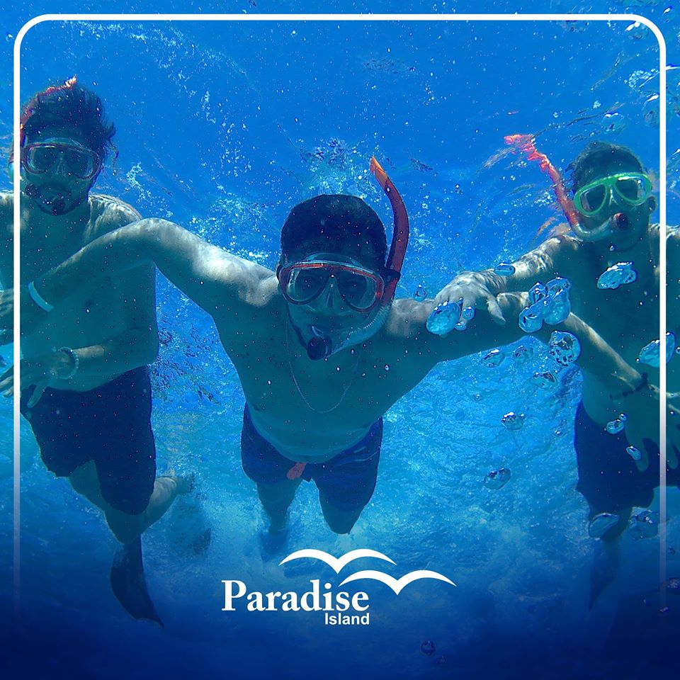 Paradise Island snorkeling day trip I EgyTipsTravel.com