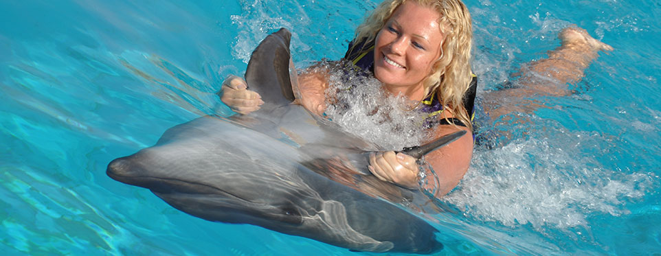 Swim with Dolphins from Makadi I EgyTipsTravel
